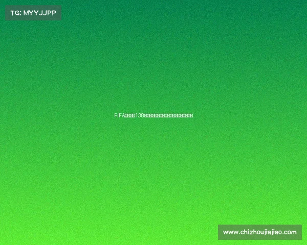 FIFA足球世界138世界杯巅峰对决全景赛事激情回顾未来展望